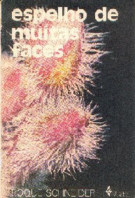 Espelho de Muitas Faces
