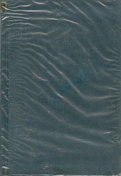 Models of Formal Systems - Dissertation