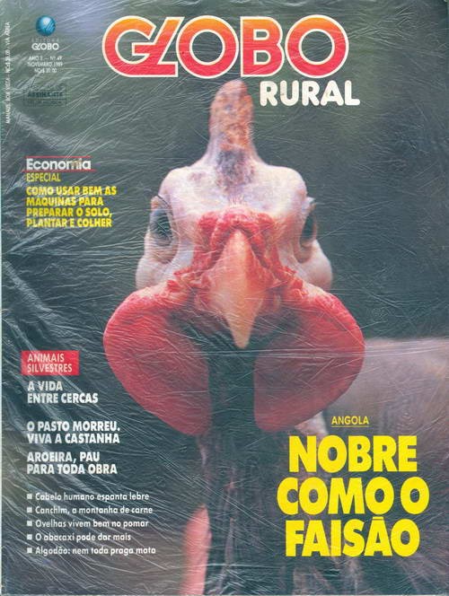 Globo Rural - Edição 49 - Novembro 1989