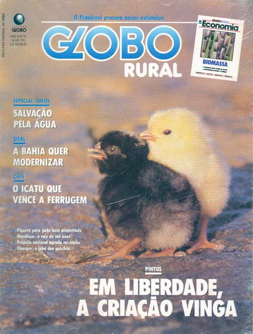 Globo Rural - Edição 93 - Julho 1993