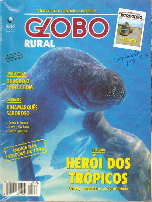 Globo Rural - Edição 111 - Janeiro 1995