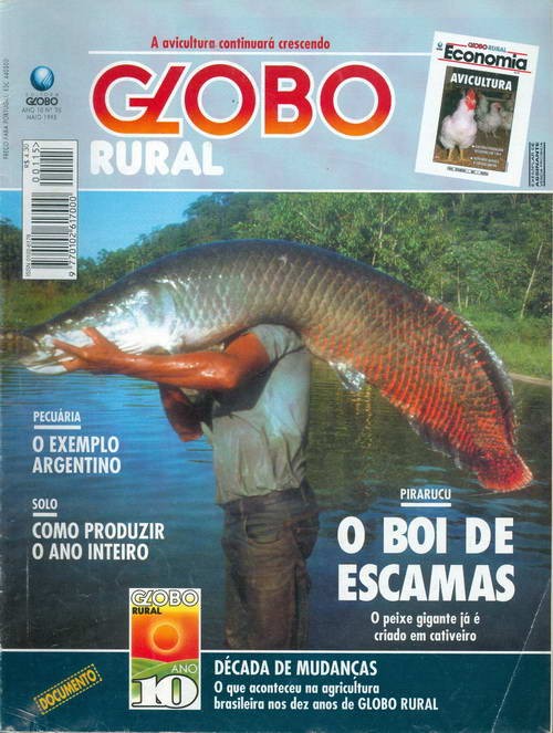 Globo Rural - Edição 115 - Maio 1995