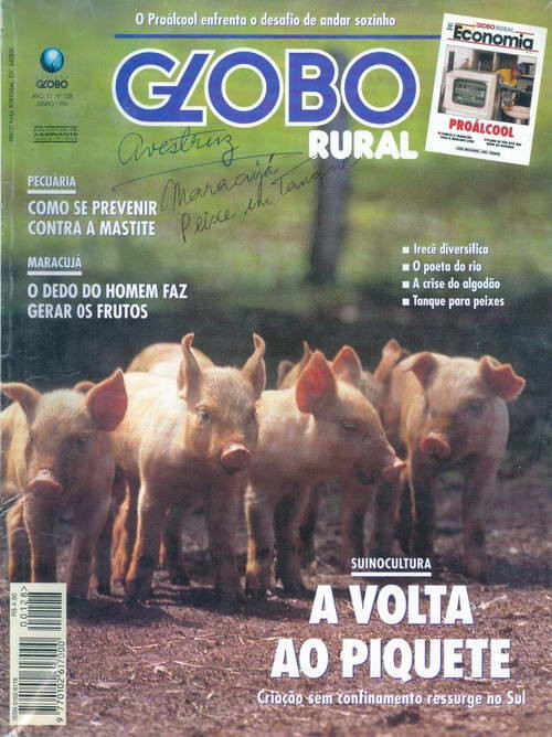 Globo Rural - Edição 128 - Junho 1996