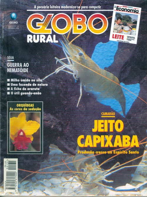 Globo Rural - Edição 131 - Setembro 1996