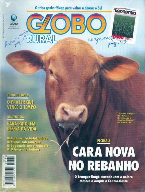 Globo Rural - Edição 133 - Novembro 1996