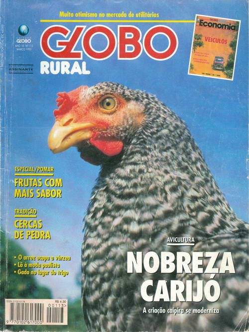 Globo Rural - Edição 113 - Março 1995