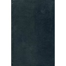 MacArthur - Seu Encontro Com a História