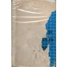 A Linguagem e o Pensamento da Criança