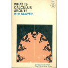 What Is Calculus About?