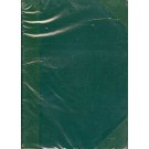 Didactica Matematica Eurística