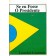 Se Eu Fosse o Presidente