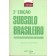 O Subsolo Brasileiro