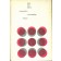 Introduction to Probability Theory