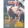 Globo Rural - Edição 51 - Janeiro 1990