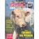 Globo Rural - Edição 110 - Dezembro 1994