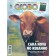 Globo Rural - Edição 133 - Novembro 1996