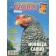 Globo Rural - Edição 113 - Março 1995