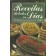 Receitas de Todos os Dias