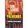 Sol Sobre as Palmeiras